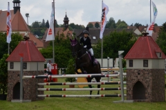 2018-Altmühlturnier-0023