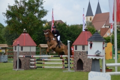 2018-Altmühlturnier-0059