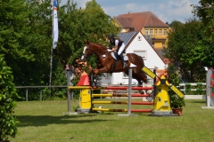 2018-Altmühlturnier-0184