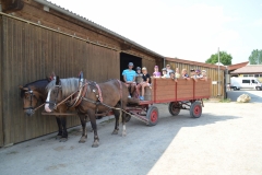 2018-Ferienprogramm-0052
