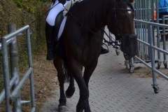 2018-Hubertusjagd-0192