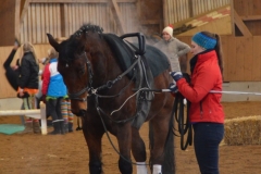 2018-Stallweihnacht-0046