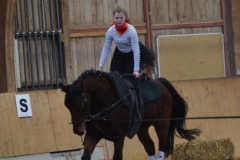 2018-Stallweihnacht-0049