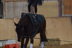 2018-Stallweihnacht-0052