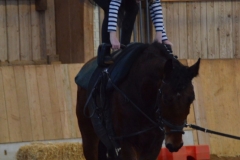 2018-Stallweihnacht-0059