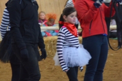 2018-Stallweihnacht-0063