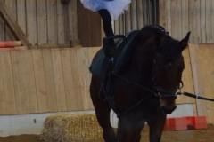 2018-Stallweihnacht-0066