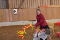 2018-Stallweihnacht-0089