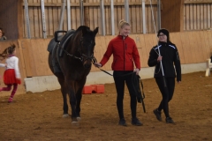 2018-Stallweihnacht-0112