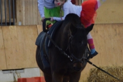 2018-Stallweihnacht-0116