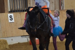 2018-Stallweihnacht-0118