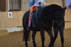 2018-Stallweihnacht-0119