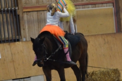 2018-Stallweihnacht-0124