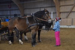 2018-Stallweihnacht-0150