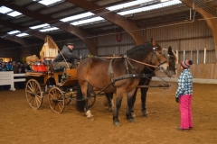 2018-Stallweihnacht-0152