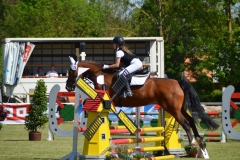 2019-Altmühlturnier-0024