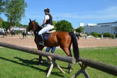 2019-Altmühlturnier-0113