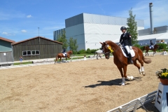 2019-Altmühlturnier-0120