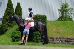 2019-Altmühlturnier-0129