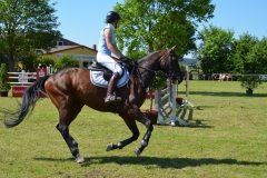 2019-Altmühlturnier-0207