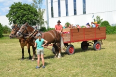 2019-Ferienprogramm-0007