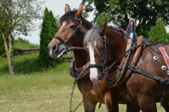 2019-Ferienprogramm-0008