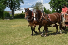 2019-Ferienprogramm-0009