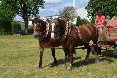 2019-Ferienprogramm-0010