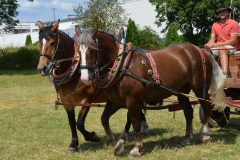 2019-Ferienprogramm-0012