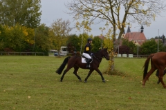 2019-Hubertusjagd-0065