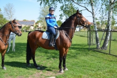 2019-Orientierungsritt-0008