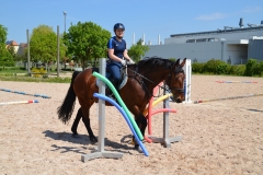 2019-Orientierungsritt-0051