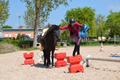 2019-Orientierungsritt-0061