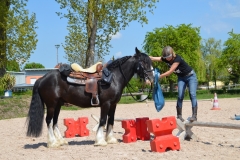 2019-Orientierungsritt-0063