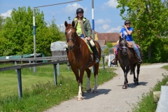 2019-Orientierungsritt-0067