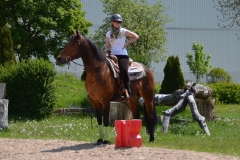 2019-Orientierungsritt-0068