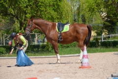 2019-Orientierungsritt-0074