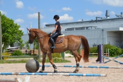 2019-Orientierungsritt-0077