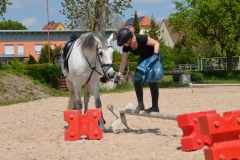2019-Orientierungsritt-0083