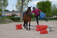 2019-Orientierungsritt-0111