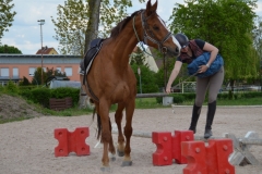 2019-Orientierungsritt-0123