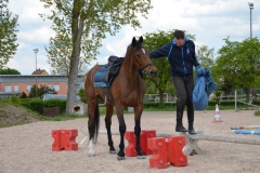 2019-Orientierungsritt-0125