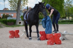 2019-Orientierungsritt-0130
