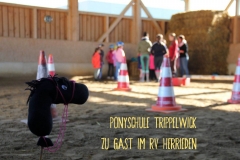 2019-Trippelwick-0001