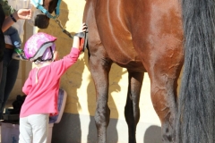 2019-Trippelwick-0010