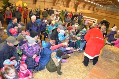 2019-Stallweihnacht-0022
