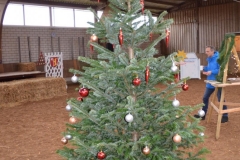 2019-Stallweihnacht-0038