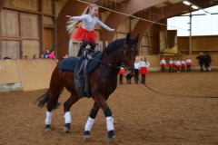 2019-Stallweihnacht-0053