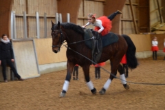 2019-Stallweihnacht-0056