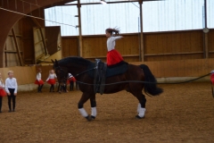 2019-Stallweihnacht-0062